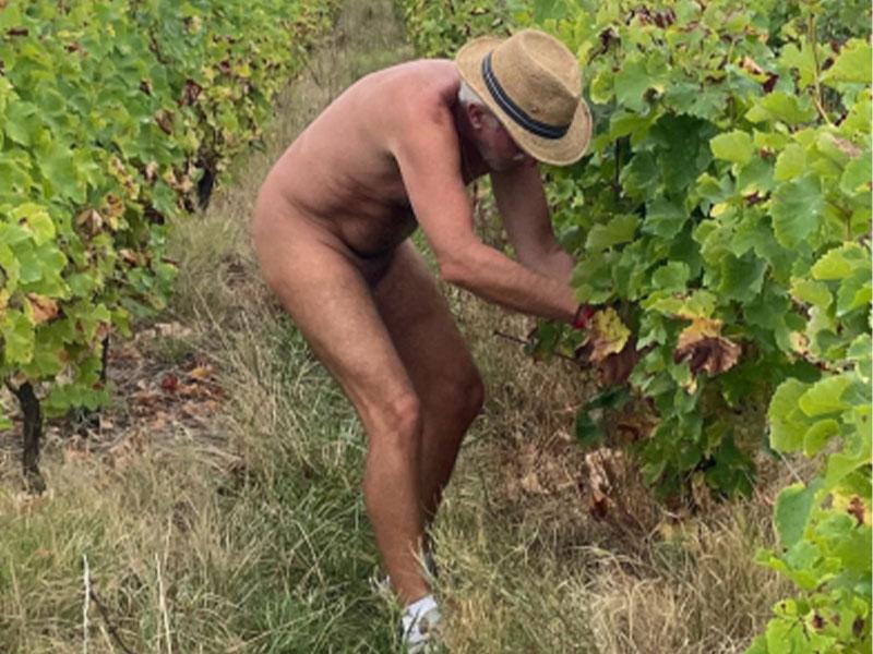 20260829 ab vendanges