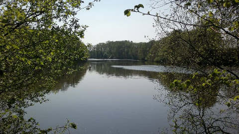 Tréméreuc
