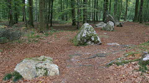 Cordon des Druides