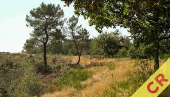 2026/04/24 : Randonue aux Landes de Lassy (cr)