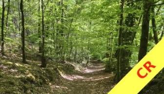 2026/05/12 : Randonue du circuit des Picouras (cr)