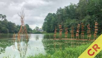 2025/10/16 : Randonue dans La Vallée Du Serein (cr)